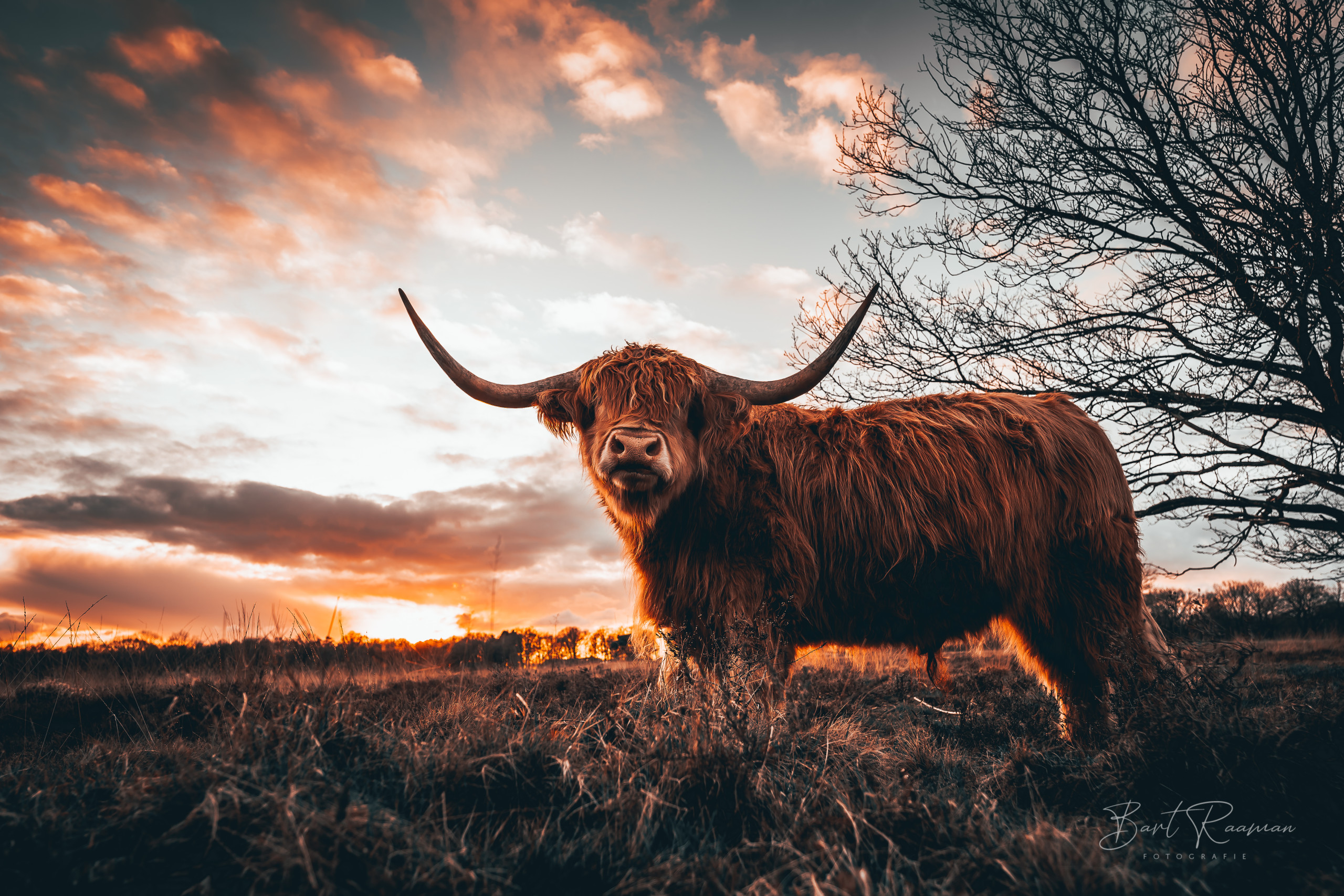 Privacy Policy Paramedics